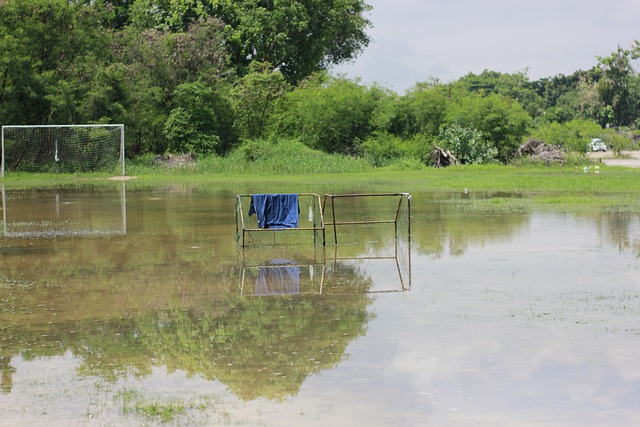 则的态度 则的态度
