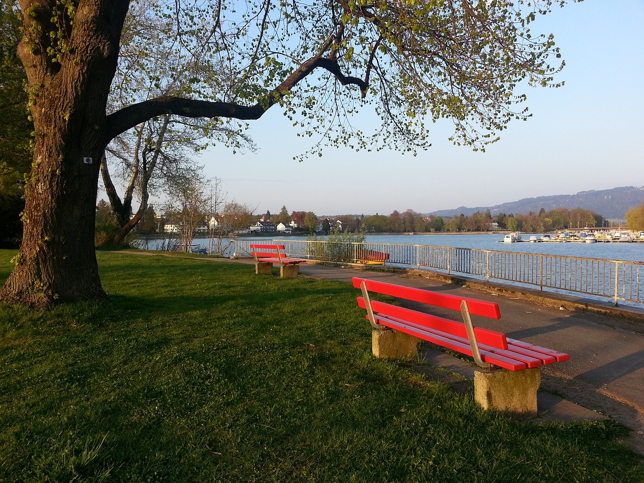 球队在面对 球队在面对